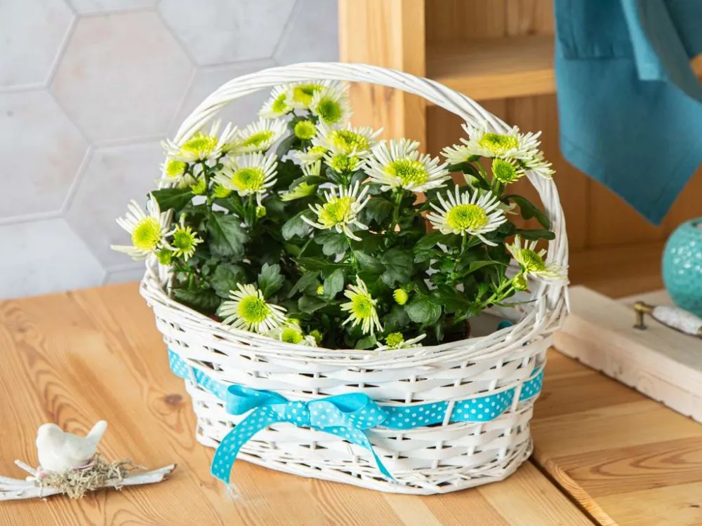 Koszyczek wiklinowy ozdobny na wiosenne kwiaty biały z niebieską wstążką Altom Design 32 cm