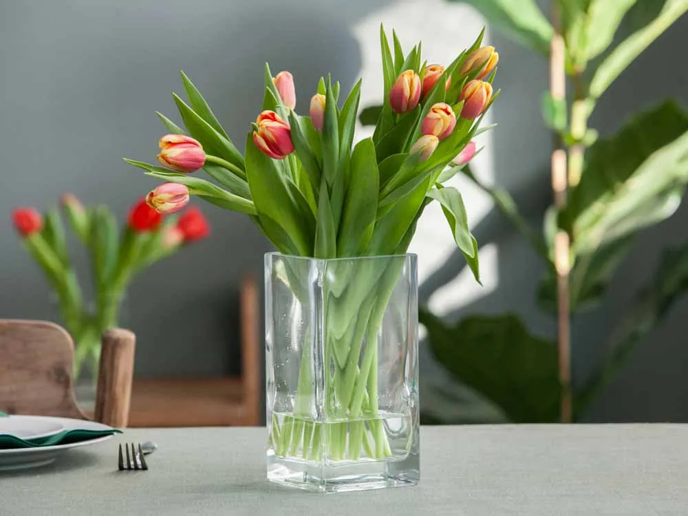 Wazon szklany na kwiaty Edwanex kwadratowy 20 cm