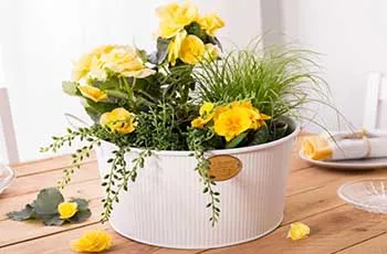 koszyk-pojemnik-z-uchwytami-metalowy-dekoracyjny-owalny-altom-design-bialy-37-x-29-x-18-cm